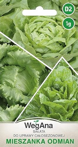 WegAna lechuga variedades mixtas verde 1g semillas, semillas de hortalizas semillas de propagación para el cultivo de lechuga de jardín de efecto invernadero durante todo el año