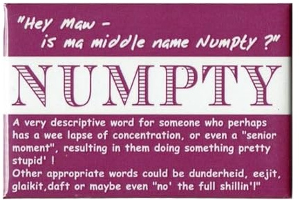 Quirky Scottish Doric Dialect Phrase Fridge Magnet - Numpty