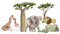 Osomehome | Wandtattoo Kinderzimmer Dschungeltiere | Tiere Wandsticker Jungzimmer | Tropische Wanddeko Babyzimmer | Bäume Wandaufkleber Jugendzimmer | Selbstklebend Tapete | os 4033 230x120 cm