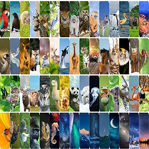 300 Stück Tier-Lesezeichen für Kinder, Klassenzimmer, 60 Designs, coole Wildtiere, Lesezeichen, niedliche Lesezeichen, doppelseitige Lesezeichen für Buchliebhaber, Kinder, Belohnungsgeschenke