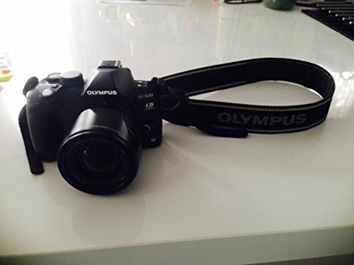 Olympus E-520 SLR-Digitalkamera (10 Megapixel, LifeView, Bildstabilisator) Kit inkl. 14-42mm Objektiv