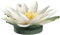 Leonardo Fiore Seerose Schwimmend, Kunstblume, Dekoblume, Rose, Dekoration, Ø 18 cm, 031697