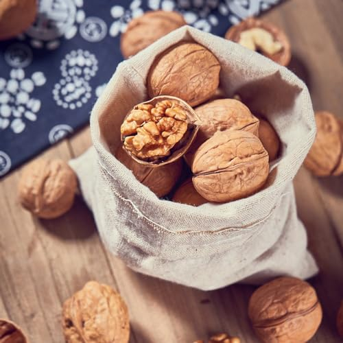 10 Pcs Walnussbaum Winterhart Samen, Nuts Nuss, Walnüsse Bio Bio Saatgut, Bonsai Tree Bäume Pflanzen Walnuss - Juglans Regia - Bio Samenwinterharte Balkonpflanzen, Topf Pflanze Kletterpflanzen