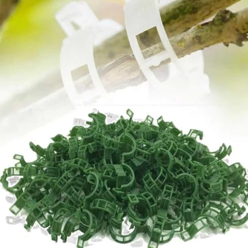 Qxiao Lot de 300 clips de support réutilisables en plastique pour treillage de tomates et légumes - Clips de support fixes pour plantes grimpantes et plantes grimpantes
