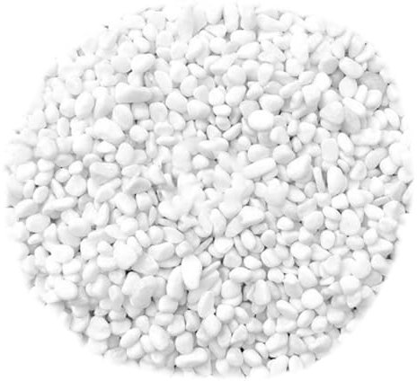 BUGUUYO 1ensemble Graviers Décoratifs Blancs Pour Aquarium Et Jardin Naturelle Décoration Élégante Pour Terrarium Et Plantes Succulentes
