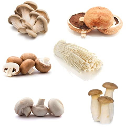 Fresh Mushroom Selection Box
