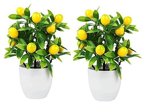 DEDEMCO Künstliche Zitronenbonsai, 24,9 cm, 12 Zitronen, künstliche Zitronenbaum, Bonsai, künstliches Grün mit weißem Kunststoff-Topf, für Zuhause, Büro, Schreibtisch, Hochzeit, Dekoration, 2 Stück