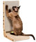 EHEYCIGA Rascador para Gatos en Forma de L, 48 cm Rascador de Cartón para Gatos de Interior con Juguete de Pelota, Tamaño Mediano