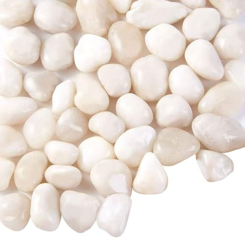 Angeer Gravier d'argile décoratif pour aquarium, pots de fleurs, plantes grasses et vases | Pierres d'aménagement paysager naturelles pour décoration aquatique, jardin et terrarium (blanc, 2 kg/sac)