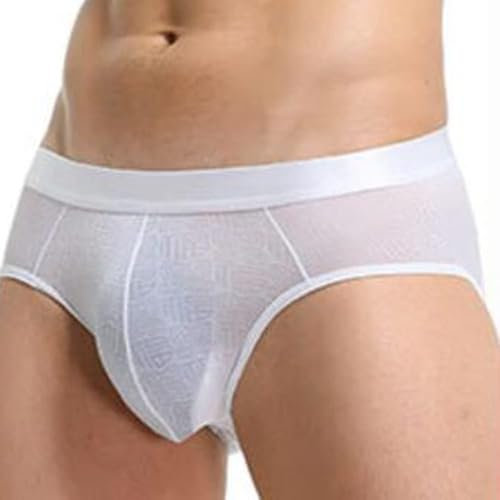 sdfpj 2pcs Soft Comfortable Underwear Ice Silk Sheer Transparent Mesh Men's Briefs Printed Shorts (Color : White, Size : L)