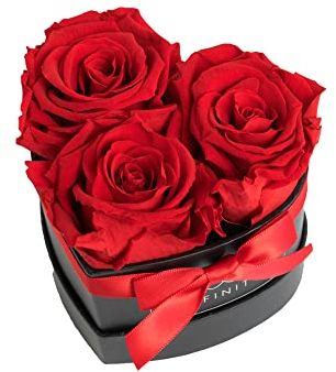 Infinity Flowerbox Small Herz - 3 echte Premiumrosen in Rot - 3 Jahre haltbar ohne gießen | In Geschenkverpackung mit Satinschleife, 6-BB-VR