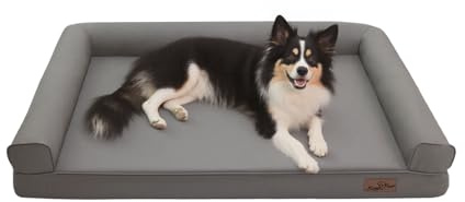 BingoPaw Orthopädisches Haustierbett 100 x 75 cm Hundebett mit Erhöhten Seitenwänden, 9cm Höhe, Hundesofa für mittelgroße große Hunde, Grau