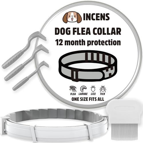 INCENS Pettine antipulci monodose, pettine in acciaio inox per pulci e zecche per cani e gatti, Pinza Zecche Gatto - Pinza Zecche Cani (omaggio, 1 collare)