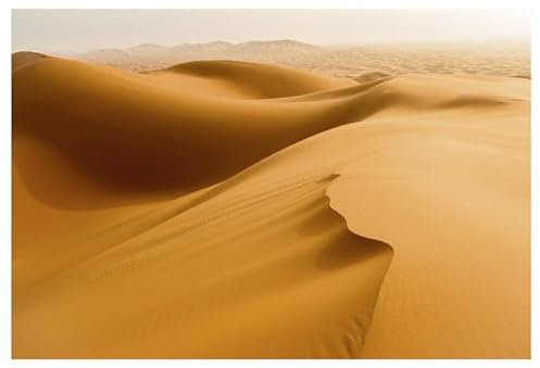 Scenolia Papier Peint intissé Desert du Sahara 400 x 270 cm (LxH) - Tapisserie Murale panoramique XXL, Made in France