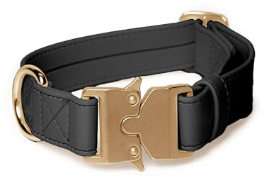 FriedaGreen – Fellschonendes Hundehalsband mit Sicherheitsverschluss, Ultraleicht & Wasserfest, aus Veganem Apfelleder, 3 cm Breit, für Mittelgroße & Große Hunde – Schwarz mit Goldener Schnalle