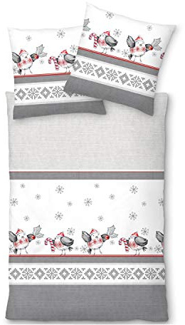 LIVING DREAMS Fein-Biber Bettwäsche WINTERBIRD kuschelig weiches Bettwäscheset mit kleinen Spatzen Reine Baumwolle 135 cm x 200 cm Silber-grau weiß rot