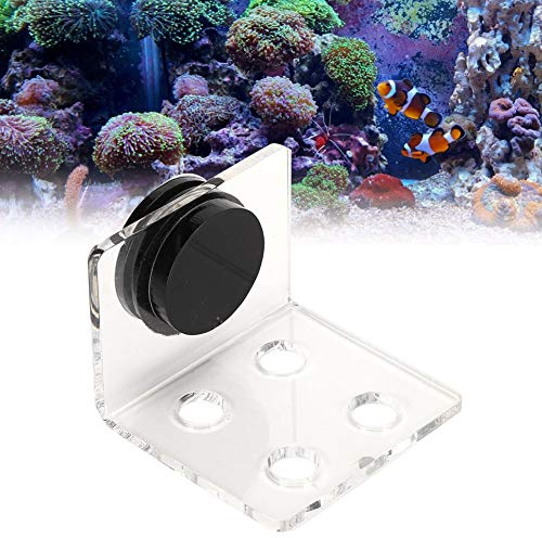 Coral Frag Rack, 4 L?cher Acryl Aquarium Coral Frag Aquarium Korallenregal Halterung Aquarium Coral Frag Halter Korallen Halterung St?nder Ornament Zubeh?r F¨¹r Aquarien