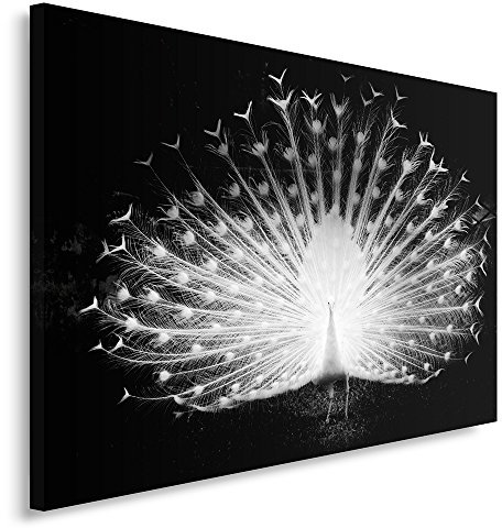 Feeby Bilder Natur Vogel Pfau XXL 120x80 cm Wohnzimmer Schlafzimmer Büro Flur Küche Wandbilder Modern Bild auf Leinwand Wanddekoration Kunstdruck Design Schwarz Und Weiß Glamour