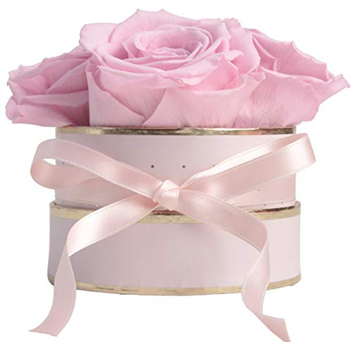 ROSEMARIE SCHULZ Heidelberg Rosenbox rund Infinity Rosen - Flowerbox 4 konservierte Rosen haltbar 3 Jahre - Geschenke für Frauen und für Mutter (Rosa-Rosa)