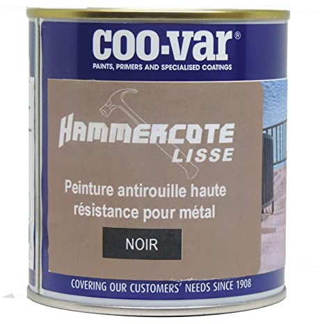 Coo-Var Peinture métal antirouille lisse - extérieur et intérieur - Noir 500ml