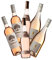 Zinfandel Rose, De Gras, 75cl.(case of 6), Colchagua Val/Chile, Zinfandel, (Rosewein)