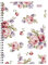 Ladytimer Ringbuch Roses 2021 - Taschen-Kalender A5 (15x21 cm) - Schüler-Kalender - Weekly - Ringbindung - 128 Seiten - Alpha Edition