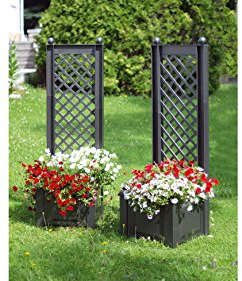 baumarkt direkt Spalier mit Pflanzkasten 43cm, anthrazit 2 Stk., 140 cm