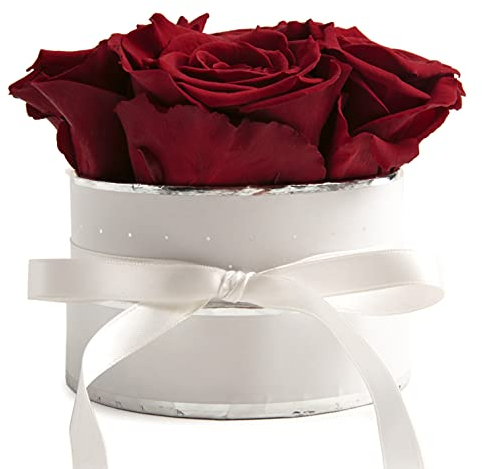ROSEMARIE SCHULZ Heidelberg Rosenbox rund Infinity Rosen Dunkelrot - Blumenbox in Weiß 4 konservierte Rosen haltbar 3 Jahre - Mama Geschenke und Geschenke für Frauen (Small, Burgundy)