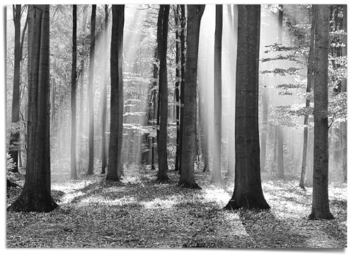 REINDERS Giant Poster XXL, Weißer Wald, Schlafzimmer, Bilder, Wanddeko, Room Decor, Papier, Weiß, 100 x 140