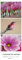 Colours of Nature - Triplets 2022 - Streifenkalender XXL 25x69 cm - Bildkalender im Hochformat - Naturkalender - Wandkalender - Wandplaner: Streifen Naturkalender - - Wand-Kalender