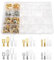 YIXISI 440 Piezas 2.8mm/4.8mm/6.3mm Terminales Eléctricos de Crimpado Kit, Cable Crimp Terminal Bloque con Aislante Manga Surtido Kit, para Cableado Eléctrico de Altavoces (Dorado + Plata)