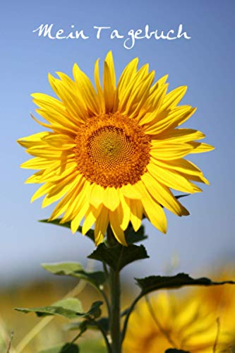 Mein Tagebuch: Mit Vorlage für schnelle Einträge - für gute und schlechte Tage - Achtsamkeit - für Frauen und Teenager