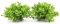 BEGONDIS Aquarium Decorations Fish Tank Artificial Green Water Plants Made of Soft Plastic, Good for All Fish & Pets (g5)