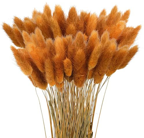 Sunshine smile 120Pcs Getrocknetes Pampasgras,Trockenblumen Bodenvase,Natürlich Pampasgras Blumenstrauß,Trockenblumen Blumenstrauß Deko,Künstlich Groß Trockenblumen,Trockenblumen Pampasgras-B3