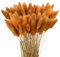 Sunshine smile 120Pcs Getrocknetes Pampasgras,Trockenblumen Bodenvase,Natürlich Pampasgras Blumenstrauß,Trockenblumen Blumenstrauß Deko,Künstlich Groß Trockenblumen,Trockenblumen Pampasgras-B3