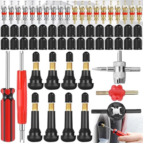 Mikqky 63 Piezas Herramientas De Las Válvulas De Los Neumáticos, Llave De Válvula De Coche, 20 x Núcleo De Válvula De Neumático, 30 x Tapa De Válvula De Neumático, 8 x Valvula Rueda Coche(Tr412/Tr414)