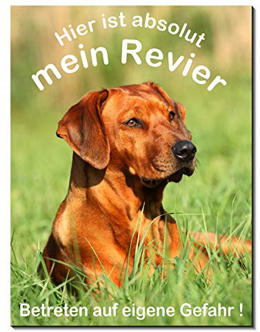 Rhodesian Ridgeback-Schild-3 Größen-Aluminium Verbund-Hund-Tierschild-Warnschild-Hinweisschild (1451-41 -300 x 200 x 2 mm mit Löcher)