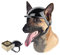 Enjoying Helm für Hunde Motorradhüte mit Ohrlöchern Hundehelm Hund Harte Hut Sicherheit Reiten für Mittelgroße bis Große Hunde, Große