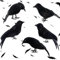 Fangoo 5 Stück Halloween Krähen Dekoration,Halloween Realistische Handmade Krähen Halloween Schwarz gefiederten Krähen Flying Halloween Krähen für Halloween Party im Freien Innenraum Dekoration