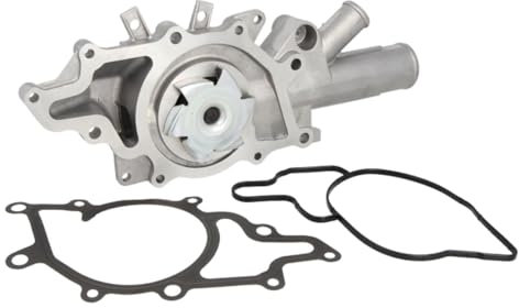 Hepu P135 Wasserpumpe