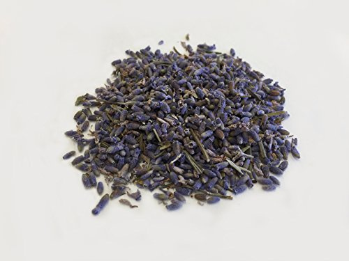 Lavender | Lavandula angustifolia Mill. | Xun Yi Cao | 薰衣草