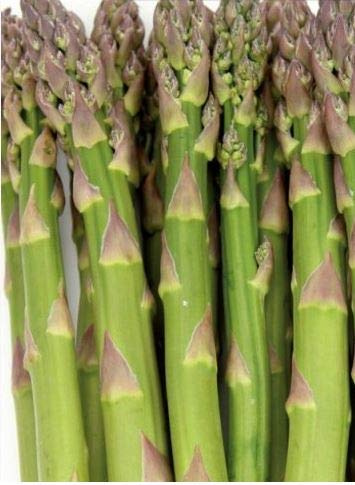 Grünspargel (Asparagus officinalis), bildet sehr zart bleibende Stangen, sehr schnellwachsende Sorte, vielseitig verwendbar, als Beigabe zu Gemüse, für Suppen oder Salat, Kalorienarm