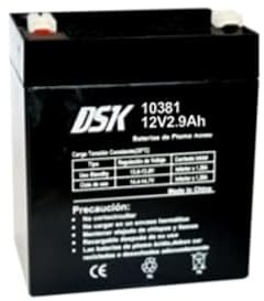 DSK 10381 - Batterie au Plomb AGM Rechargeable et scellée avec 12 V et 2,9 Ah. Batterie idéale pour alarmes domestiques et industrielles, Jouets électriques pour Enfants, appareils de mobilité,