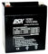 DSK 10381 - Batterie au Plomb AGM Rechargeable et scellée avec 12 V et 2,9 Ah. Batterie idéale pour alarmes domestiques et industrielles, Jouets électriques pour Enfants, appareils de mobilité,