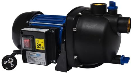 Bomba de agua de superficie 600w Werkapro