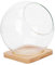 Yardenfun 1 set di vasi rotondi in per piante grasse, terrario in , per piante, a sfera di , portacandele in , ciotola per pesce, geometrico, terrario, vaso per piante