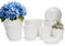 Plant Pots Indoor, 8Pack Plastic Plant Pots 7.5/7/6.5/6/5.5/5/4.5/4 inch, Plastic Flower Pots Outdoor Self Watering Indoor Plant Pot with Drainage Holes and Tray, Planter for Garden House (White)