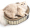 Conlun Rascador para Gatos Cama 2 en 1 Ovalado, Sin Desorden con Base Sellada, Cartón Ecológico Sin Montaje, Sofá Rascadores Elegante en 4 Colores Modernos Muebles para Gatos