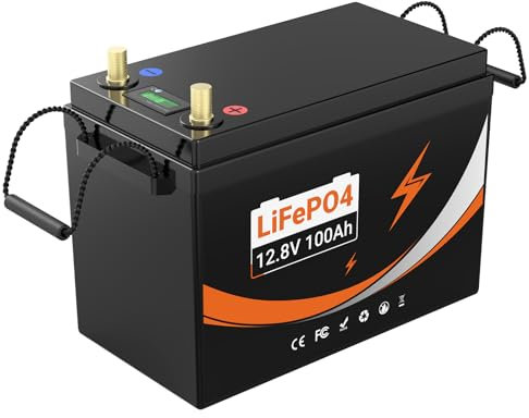 12V100Ah LiFePO4 Lithium-Akku mit BMS Temperature Schutz Bis Zu 4000+ Zyklen 1280Wh Lithiumbatterie für Wohnmobil, Solar-/Windkraft, Boot, Camping