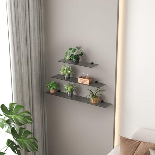 Euro Tische Glas Wandregal Grauglas - 80 cm